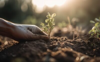 Pelatihan Penyusunan RKT Tingkatkan Kapasitas Staf KPH dan Masyarakat Kapuas Hulu